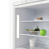 Холодильник Бирюса 6041 фото