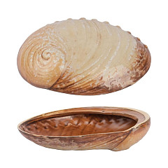 Салатник P.L. Proff Cuisine 365 мл 19*14,5 см h5 см Pearl Ammonite Shell Frutti di Mare (81241256) в Москве , фото 4
