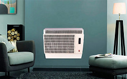 Газовый конвектор Feg F819F в Москве , фото 2