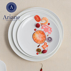 Блюдо овальное Ariane Vital Coupe 25 см (AVCARN000015026) в Москве , фото 4