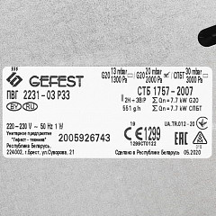 Варочная панель газовая Gefest ПВГ 2231-03 Р33 в Москве , фото 6