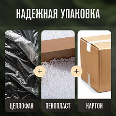 Чайник Meyvel MKE-03T (White) в Москве , фото 14