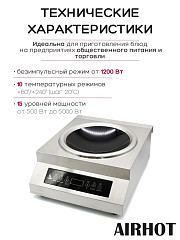 Плита индукционная WOK AIRHOT IP5000 WOK в Москве , фото 3