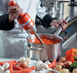 Миксер ручной Dynamic Junior Plus 225 (MX021.V) в Москве , фото 2