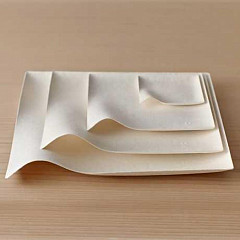 Тарелка одноразовая Garcia de Pou Bionic, японский дизайн Wasara 15,6*2,6(h) см, целлюлоза в Москве , фото 2