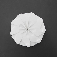  для BGL-25 (в комплекте 9шт) фото