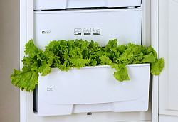 Двухкамерный холодильник Pozis RD-149 A черный в Москве , фото 4