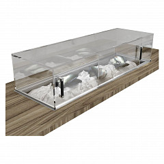 Рыбная витрина встраиваемая Gastrolux ВСВВ-124/СК/Л (без агрегата) в Москве , фото 4