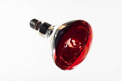 Лампа инфракрасная 250Вт Fimar арт.SL0681 в Москве , фото