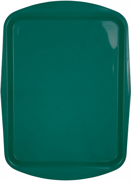 Поднос столовый из полипропилена Luxstahl 490х360 мм зеленый полипропилен особо прочный фото