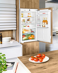 Встраиваемый холодильник Liebherr IKB 1920 в Москве , фото 4