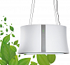 Островная вытяжка Falmec ZEPHIRO E.ION IS. GLASS WHITE (CEZI66.E0P6#ZZZF441F) фото