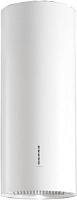 POLAR EVO WHITE 35 	(CPON90.E11P2#EUB490F) фото