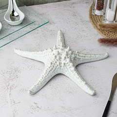 Блюдо для подачи P.L. Proff Cuisine 24 см h6 см Звезда Gray Starfish Frutti di Mare (81222311) в Москве , фото 1