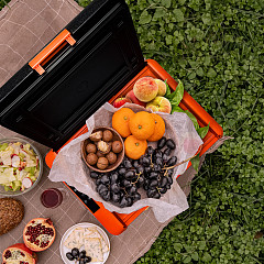 Автохолодильник переносной Alpicool CL30 (12/24) в Москве , фото 14