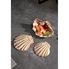 Блюдо для подачи P.L. Proff Cuisine 13*12 см h3 см 50 мл Pearl Shell Frutti di Mare в Москве , фото 4
