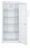 Холодильный шкаф  FKv 5440