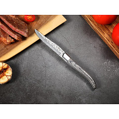 Нож для стейка P.L. Proff Cuisine 22,4 см Garwin Pakka Wood в Москве , фото 4