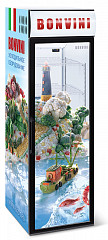 Холодильный шкаф Снеж Bonvini 500 BGC в Москве , фото 2