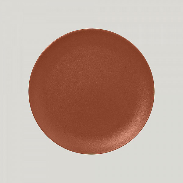 Тарелка круглая плоская RAK Porcelain Neofusion Terra 24 см (терракотовый цвет) фото