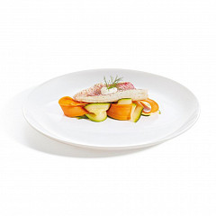  d 27 см Эволюшн Opal фото