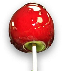 Карамелизатор для яблок RoboLabs Карамелита Эконо в Москве , фото 4