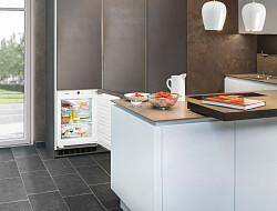 Морозильная камера Liebherr IG 1024 в Москве , фото 3