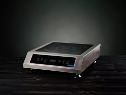 Индукционная плита безимпульсная iPlate 3500 ALINA в Москве , фото 7