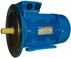 Двигатель Торгмаш Барановичи АИР 71А4У3 0,55/1500 комбинированный (вал 19мм. фланец 200мм.) (МОК-150М, 300М) фото